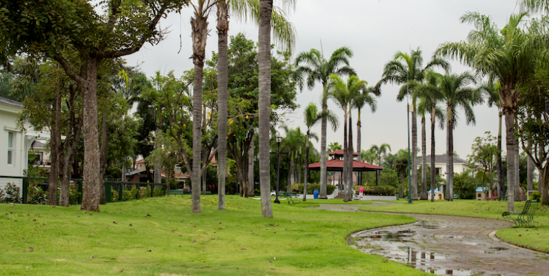 Casa en venta en Urbanización Vista al Parque, Samborondón GeoBienes - Casa en venta en Samborondón - Plusvalia Guayaquil Casas de venta y alquiler Inmobiliaria Ecuador