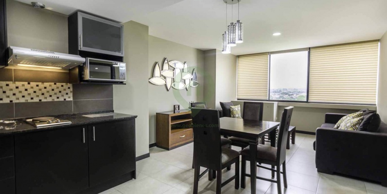 Departamento en Alquiler Bellini II, Centro de Guayaquil GeoBienes - Departamento en Alquiler Bellini II, Centro de Guayaquil - Plusvalia Guayaquil Casas de venta y alquiler Inmobiliaria Ecuador