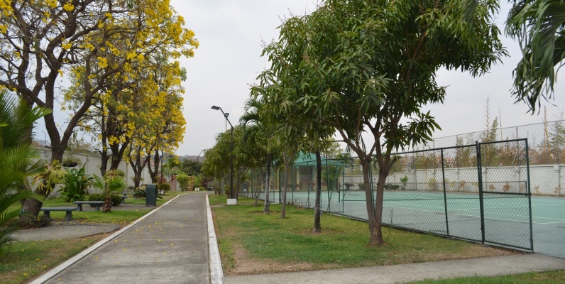 Departamento en alquiler en Urbanización parque de los Ceibos sector Colinas de los Ceibos GeoBienes - Departamento en alquiler en Urbanización Parque de los Ceibos sector Ceibos - Plusvalia Guayaquil Casas de venta y alquiler Inmobiliaria Ecuador