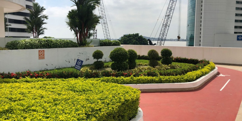 Departamento semi amoblado en venta en Santana Lofts, Puerto Santa Ana GeoBienes - Departamento semi amoblado en alquiler en Santana Lofts, Puerto Santa Ana - Plusvalia Guayaquil Casas de venta y alquiler Inmobiliaria Ecuador