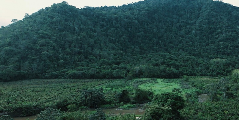 Hacienda agroturistica en venta ubicada en la Vía Naranjal Bucay GeoBienes - Hacienda agroturistica en venta ubicada en la Vía Naranjal Bucay - Plusvalia Guayaquil Casas de venta y alquiler Inmobiliaria Ecuador