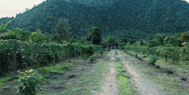 Hacienda agroturistica en venta ubicada en la Vía Naranjal Bucay GeoBienes - Hacienda agroturistica en venta ubicada en la Vía Naranjal Bucay - Plusvalia Guayaquil Casas de venta y alquiler Inmobiliaria Ecuador