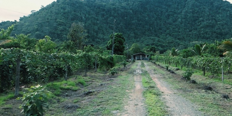 GeoBienes - Hacienda agroturistica en venta ubicada en la Vía Naranjal Bucay - Plusvalia Guayaquil Casas de venta y alquiler Inmobiliaria Ecuador