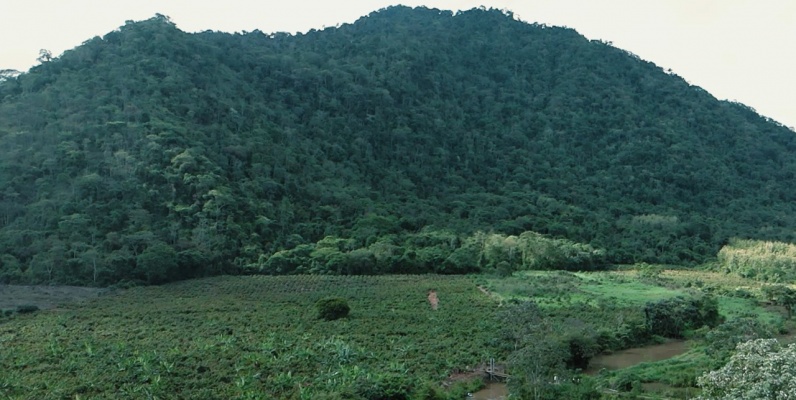 GeoBienes - Hacienda agroturistica en venta ubicada en la Vía Naranjal Bucay - Plusvalia Guayaquil Casas de venta y alquiler Inmobiliaria Ecuador