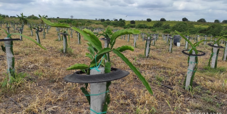 Hacienda en venta ubicada en San Lorenzo del Mate GeoBienes - Hacienda en venta ubicada en San Lorenzo del Mate - Plusvalia Guayaquil Casas de venta y alquiler Inmobiliaria Ecuador