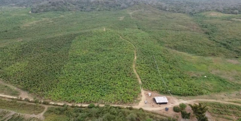 Hacienda en venta ubicada en Santa Elena GeoBienes - Hacienda en venta ubicada en Santa Elena - Plusvalia Guayaquil Casas de venta y alquiler Inmobiliaria Ecuador