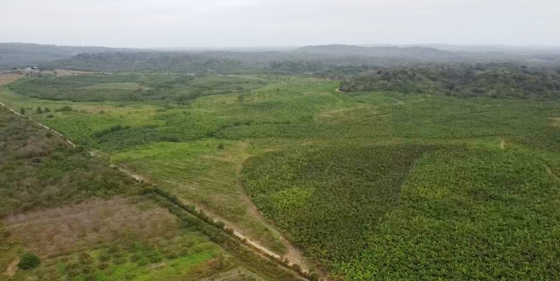 Hacienda en venta ubicada en Santa Elena GeoBienes - Hacienda en venta ubicada en Santa Elena - Plusvalia Guayaquil Casas de venta y alquiler Inmobiliaria Ecuador