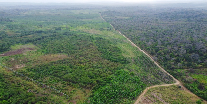 Hacienda en venta ubicada en Santa Elena GeoBienes - Hacienda en venta ubicada en Santa Elena - Plusvalia Guayaquil Casas de venta y alquiler Inmobiliaria Ecuador
