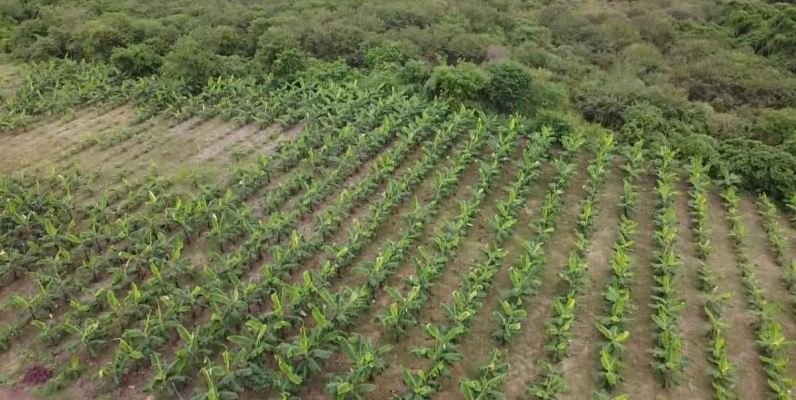 Hacienda en venta ubicada en Santa Elena GeoBienes - Hacienda en venta ubicada en Santa Elena - Plusvalia Guayaquil Casas de venta y alquiler Inmobiliaria Ecuador