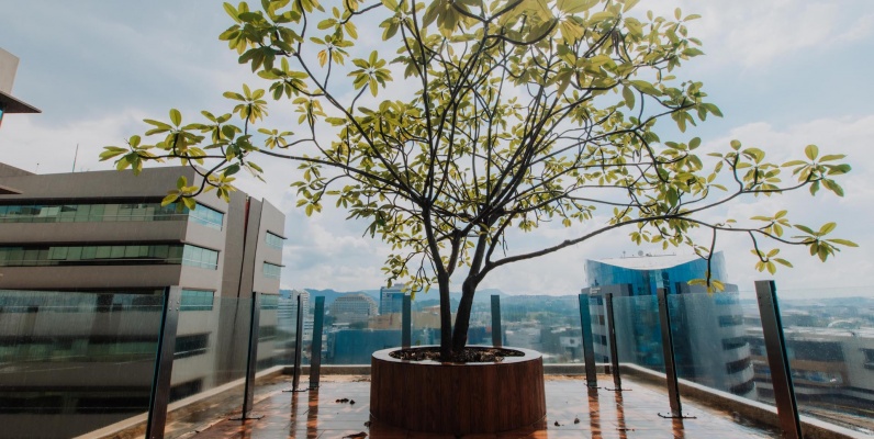 Oficina en venta Edificio Equilibrium, zona Mall del Sol, Norte de Guayaquil GeoBienes - Oficina en venta Edificio Equilibrium, zona Mall del Sol, Norte de Guayaquil - Plusvalia Guayaquil Casas de venta y alquiler Inmobiliaria Ecuador