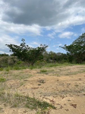 Solar en venta ubicado en Lomas del Bosque, Vía a la Costa GeoBienes - Solar en venta ubicado en Lomas del Bosque, Vía a la Costa - Plusvalia Guayaquil Casas de venta y alquiler Inmobiliaria Ecuador
