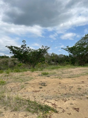 GeoBienes - Solar en venta ubicado en Lomas del Bosque, Vía a la Costa - Plusvalia Guayaquil Casas de venta y alquiler Inmobiliaria Ecuador