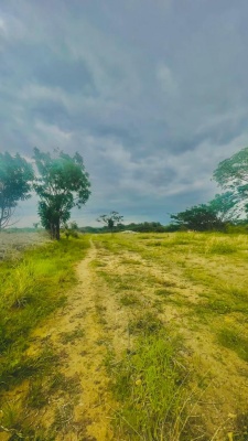 Solar en venta ubicado en Lomas del Bosque, Vía a la Costa GeoBienes - Solar en venta ubicado en Lomas del Bosque, Vía a la Costa - Plusvalia Guayaquil Casas de venta y alquiler Inmobiliaria Ecuador