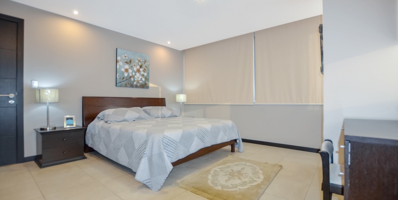 Suite en alquiler en Bellini II sector centro de Guayaquil GeoBienes - Suite en alquiler en Bellini II sector centro de Guayaquil - Plusvalia Guayaquil Casas de venta y alquiler Inmobiliaria Ecuador