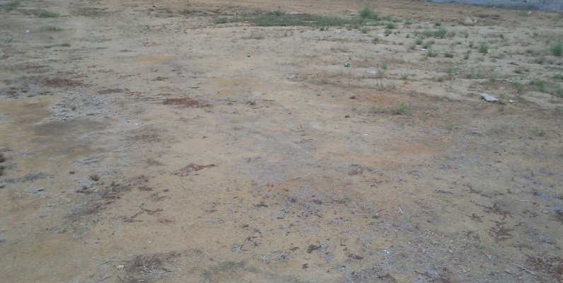 Terreno Condado Vicolinci GeoBienes - Terreno en venta Condado Vicolinci Samborondon - Plusvalia Guayaquil Casas de venta y alquiler Inmobiliaria Ecuador