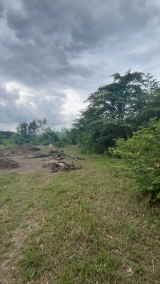 GeoBienes - Terreno de 2 hectáreas en venta en el Km 19 Vía a la Costa - Plusvalia Guayaquil Casas de venta y alquiler Inmobiliaria Ecuador