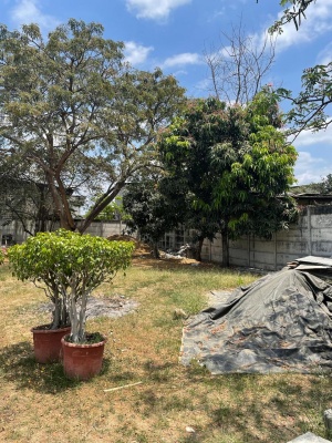 GeoBienes - Terreno de oportunidad en venta, Vía a la Costa Km. 24 - Plusvalia Guayaquil Casas de venta y alquiler Inmobiliaria Ecuador