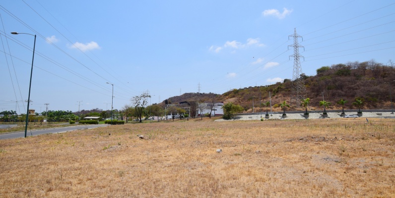 GeoBienes - Terreno en alquiler ubicado en La Joya, Vía la Aurora - Plusvalia Guayaquil Casas de venta y alquiler Inmobiliaria Ecuador