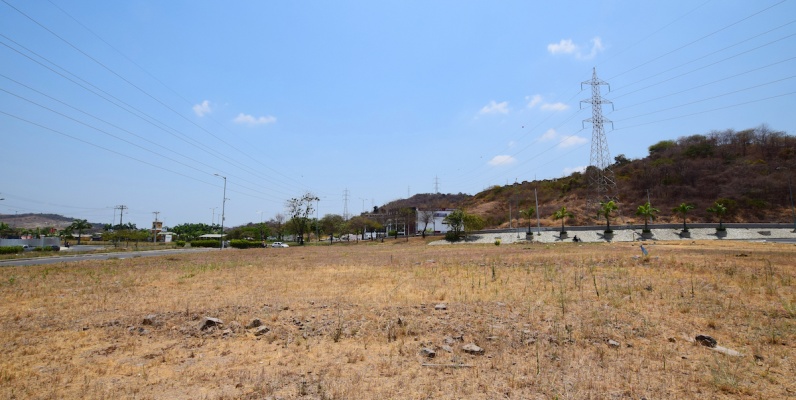 GeoBienes - Terreno en alquiler ubicado en La Joya, Vía la Aurora - Plusvalia Guayaquil Casas de venta y alquiler Inmobiliaria Ecuador