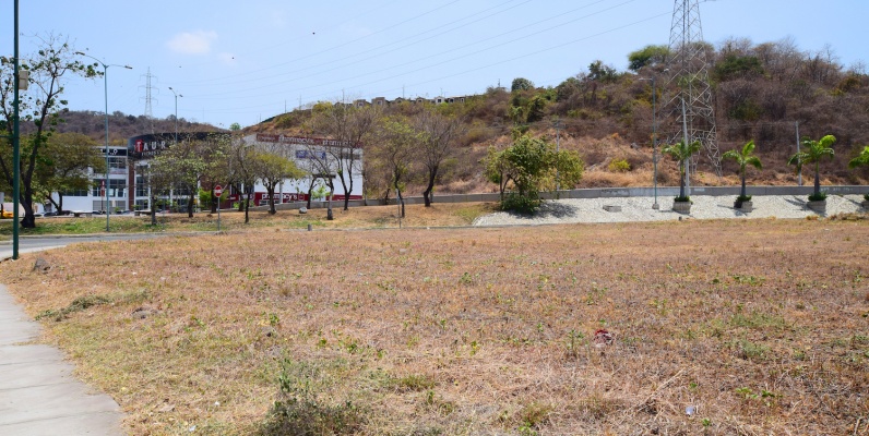 GeoBienes - Terreno en alquiler ubicado en La Joya, Vía la Aurora - Plusvalia Guayaquil Casas de venta y alquiler Inmobiliaria Ecuador