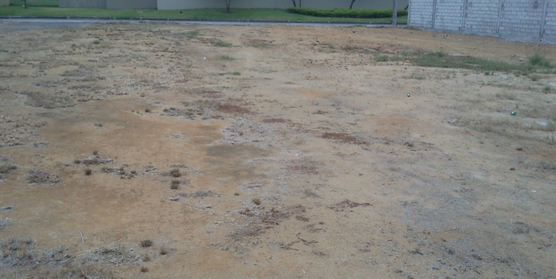 Terreno en Venta Condado Vicolici GeoBienes - Terreno en Venta Condado Vicolinci - Plusvalia Guayaquil Casas de venta y alquiler Inmobiliaria Ecuador
