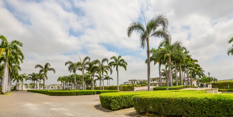 Terreno en venta en Río Lago sector Vía Samborondón GeoBienes - Terreno en venta en Ríolago sector Vía Samborondón - Plusvalia Guayaquil Casas de venta y alquiler Inmobiliaria Ecuador