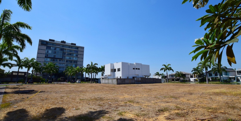 Terreno en venta ubicado en La Isla Mocolí, Vía Samborondón GeoBienes - Terreno en venta ubicado en La Isla Mocolí, Vía Samborondón - Plusvalia Guayaquil Casas de venta y alquiler Inmobiliaria Ecuador