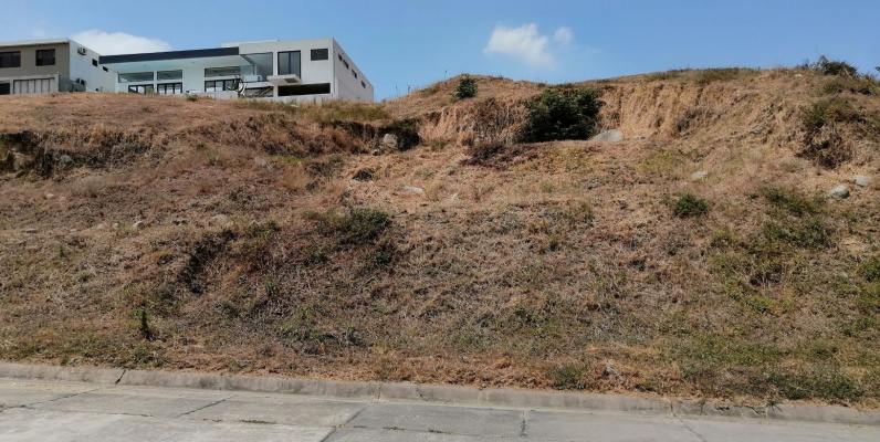 Terreno en venta ubicado en la urbanización El Condado vía a Samborondón - La Aurora GeoBienes - Terreno en venta ubicado en la urbanización El Condado vía a Samborondón - La Aurora - Plusvalia Guayaquil Casas de venta y alquiler Inmobiliaria Ecuador