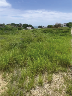 Terreno en venta ubicado en Punta Blanca, Santa Elena GeoBienes - Terreno en venta ubicado en Punta Blanca, Santa Elena - Plusvalia Guayaquil Casas de venta y alquiler Inmobiliaria Ecuador