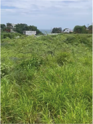 Terreno en venta ubicado en Punta Blanca, Santa Elena GeoBienes - Terreno en venta ubicado en Punta Blanca, Santa Elena - Plusvalia Guayaquil Casas de venta y alquiler Inmobiliaria Ecuador