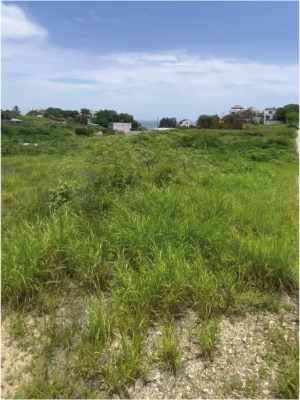 Terreno en venta ubicado en Punta Blanca, Santa Elena GeoBienes - Terreno en venta ubicado en Punta Blanca, Santa Elena - Plusvalia Guayaquil Casas de venta y alquiler Inmobiliaria Ecuador