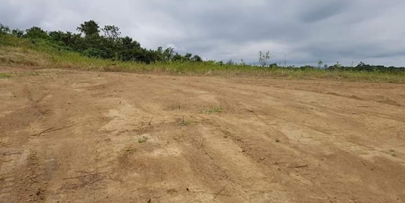 GeoBienes - Terreno en venta Urbanización Lomas del Bosque  - Plusvalia Guayaquil Casas de venta y alquiler Inmobiliaria Ecuador