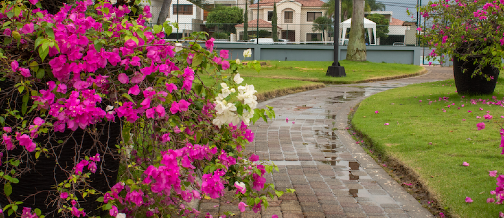 Casa en venta en Urbanización Vista al Parque, Samborondón GeoBienes - Casa en venta en Samborondón - Plusvalia Guayaquil Casas de venta y alquiler Inmobiliaria Ecuador