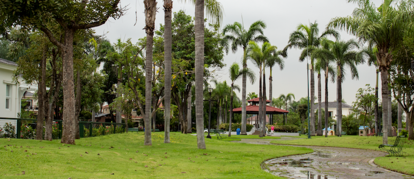 Casa en venta en Urbanización Vista al Parque, Samborondón GeoBienes - Casa en venta en Samborondón - Plusvalia Guayaquil Casas de venta y alquiler Inmobiliaria Ecuador