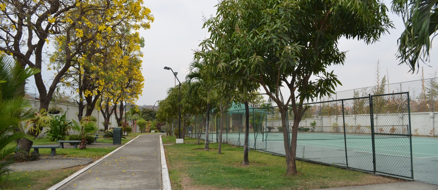 Departamento en alquiler en Urbanización parque de los Ceibos sector Colinas de los Ceibos GeoBienes - Departamento en alquiler en Urbanización Parque de los Ceibos sector Ceibos - Plusvalia Guayaquil Casas de venta y alquiler Inmobiliaria Ecuador