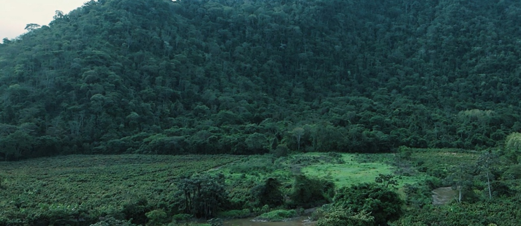 GeoBienes - Hacienda agroturistica en venta ubicada en la Vía Naranjal Bucay - Plusvalia Guayaquil Casas de venta y alquiler Inmobiliaria Ecuador