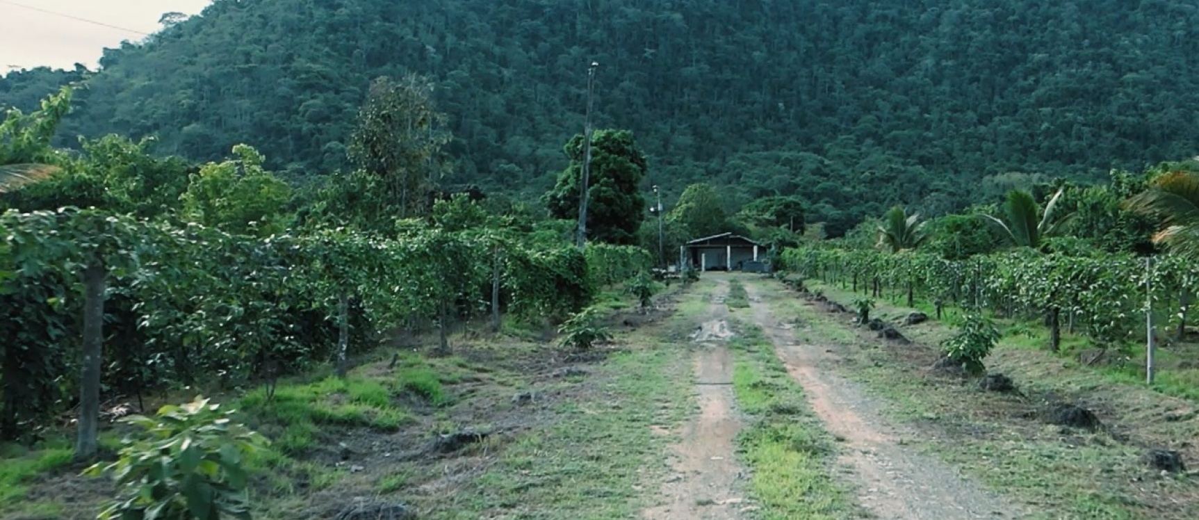 GeoBienes - Hacienda agroturistica en venta ubicada en la Vía Naranjal Bucay - Plusvalia Guayaquil Casas de venta y alquiler Inmobiliaria Ecuador