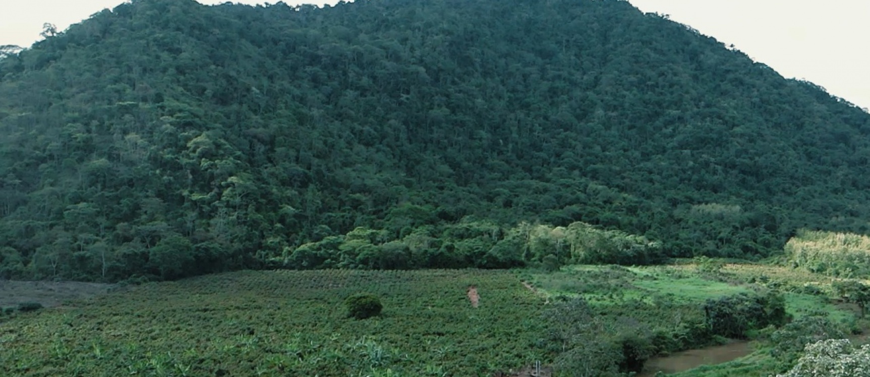 GeoBienes - Hacienda agroturistica en venta ubicada en la Vía Naranjal Bucay - Plusvalia Guayaquil Casas de venta y alquiler Inmobiliaria Ecuador