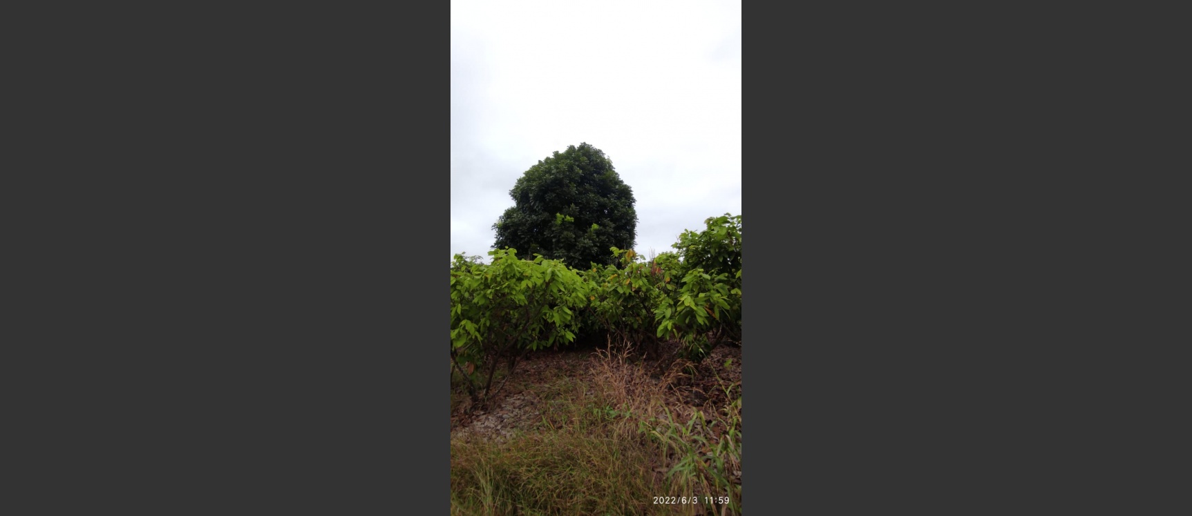 Hacienda en venta ubicada en San Lorenzo del Mate GeoBienes - Hacienda en venta ubicada en San Lorenzo del Mate - Plusvalia Guayaquil Casas de venta y alquiler Inmobiliaria Ecuador