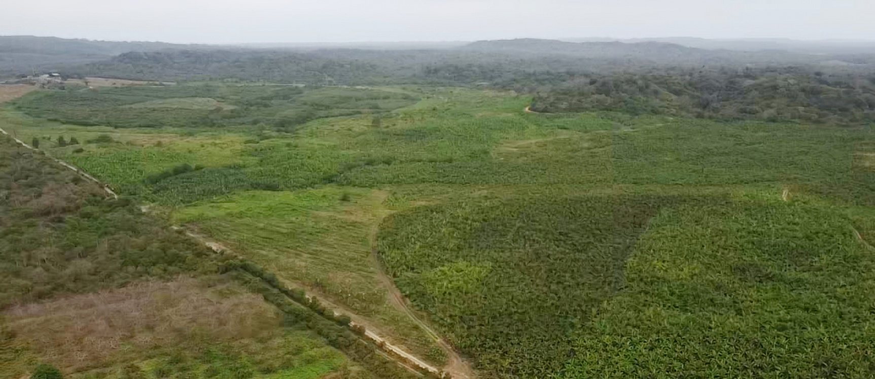 Hacienda en venta ubicada en Santa Elena GeoBienes - Hacienda en venta ubicada en Santa Elena - Plusvalia Guayaquil Casas de venta y alquiler Inmobiliaria Ecuador