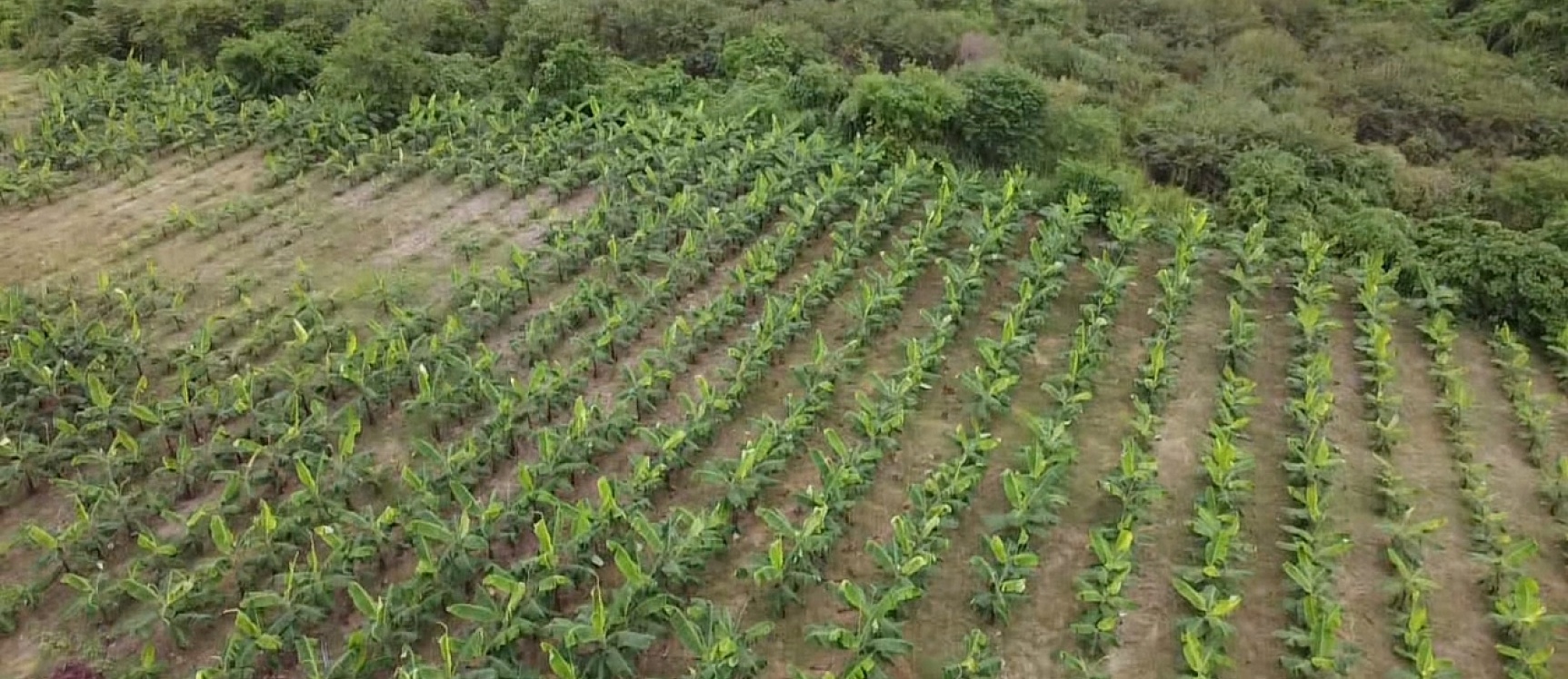 Hacienda en venta ubicada en Santa Elena GeoBienes - Hacienda en venta ubicada en Santa Elena - Plusvalia Guayaquil Casas de venta y alquiler Inmobiliaria Ecuador