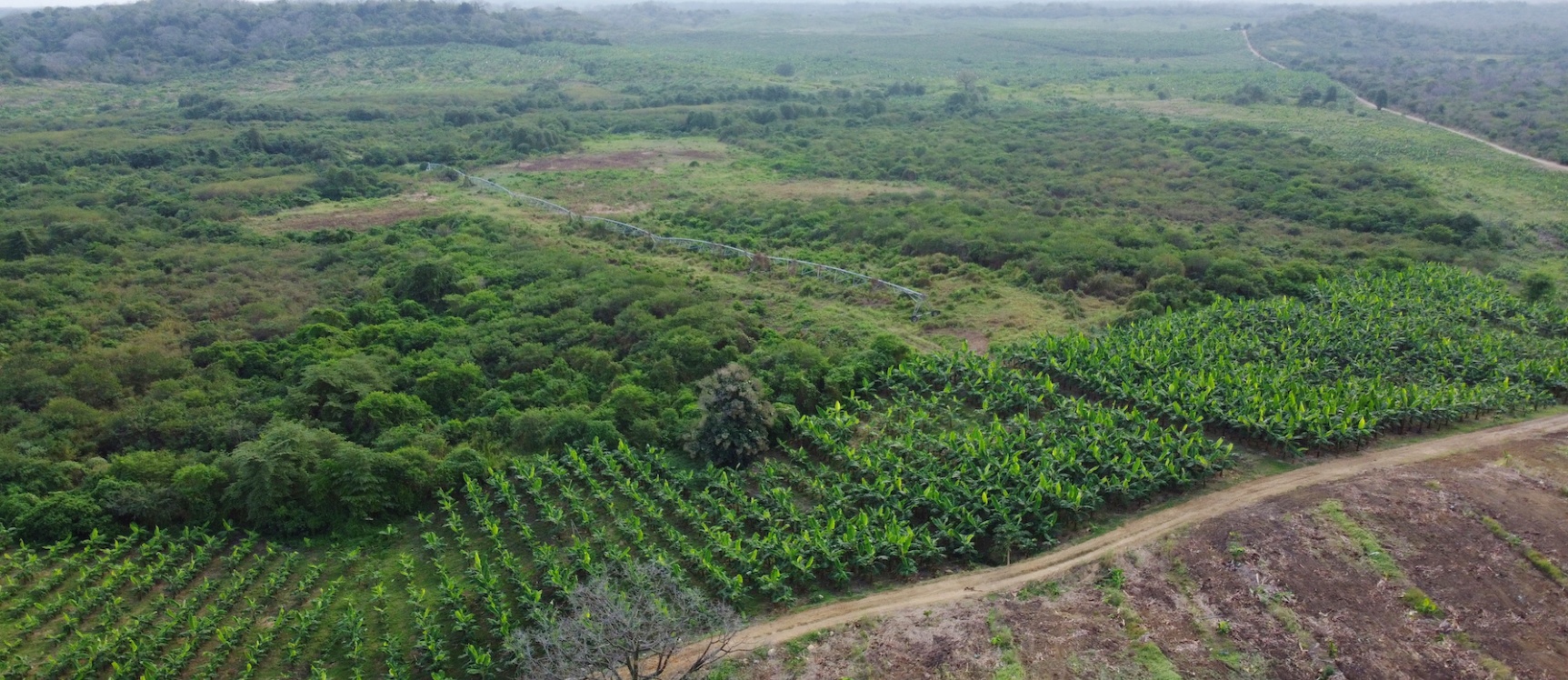 Hacienda en venta ubicada en Santa Elena GeoBienes - Hacienda en venta ubicada en Santa Elena - Plusvalia Guayaquil Casas de venta y alquiler Inmobiliaria Ecuador