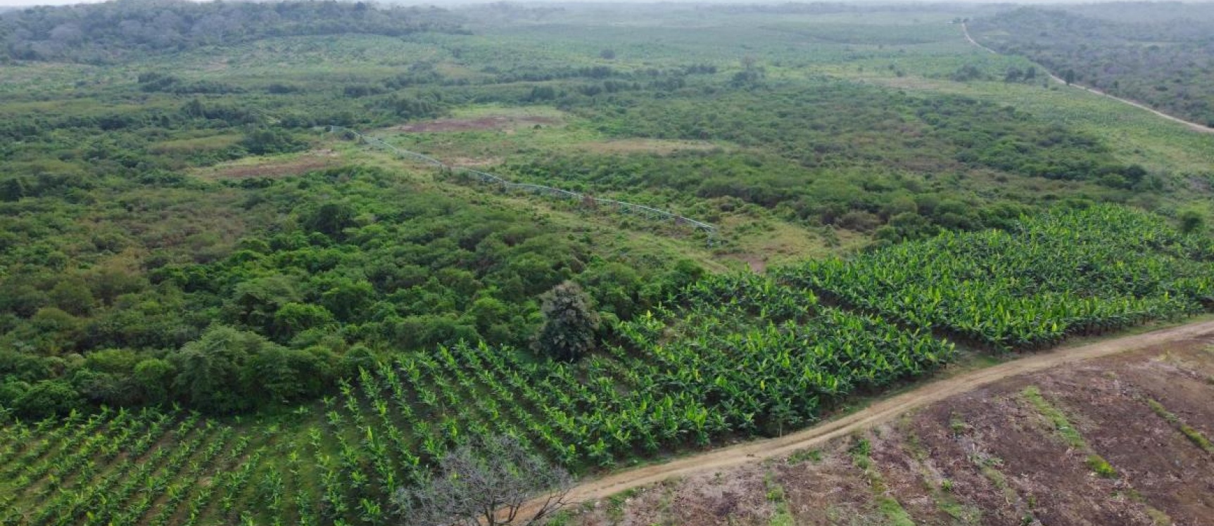 Hacienda en venta ubicada en Santa Elena GeoBienes - Hacienda en venta ubicada en Santa Elena - Plusvalia Guayaquil Casas de venta y alquiler Inmobiliaria Ecuador