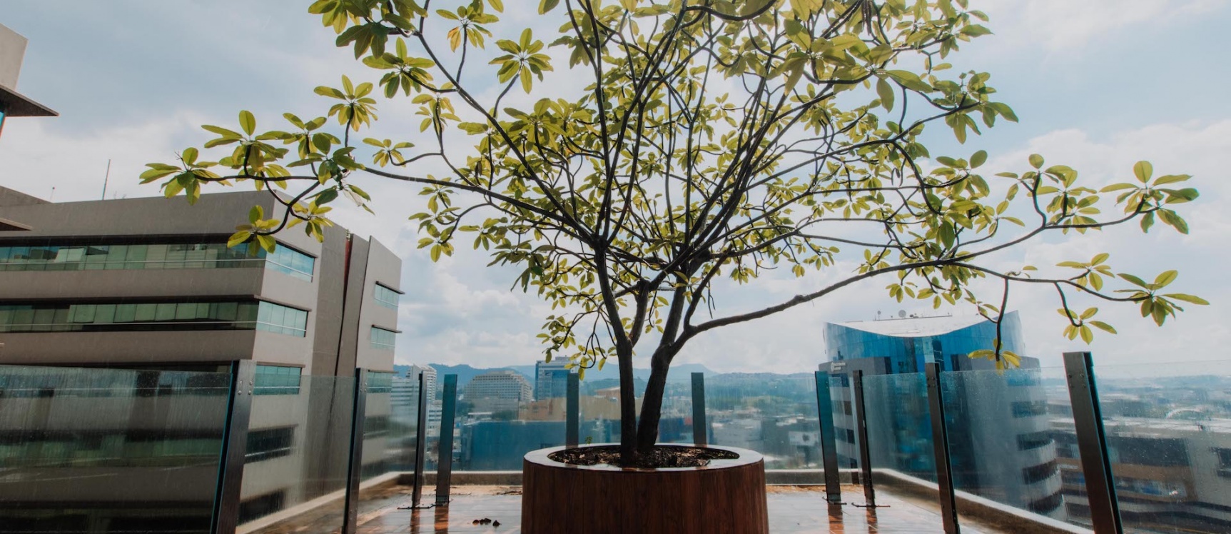Oficina en alquiler Edificio Equilibrium, zona Mall del Sol, Norte de Guayaquil GeoBienes - Oficina en alquiler Edificio Equilibrium, zona Mall del Sol, Norte de Guayaquil - Plusvalia Guayaquil Casas de venta y alquiler Inmobiliaria Ecuador