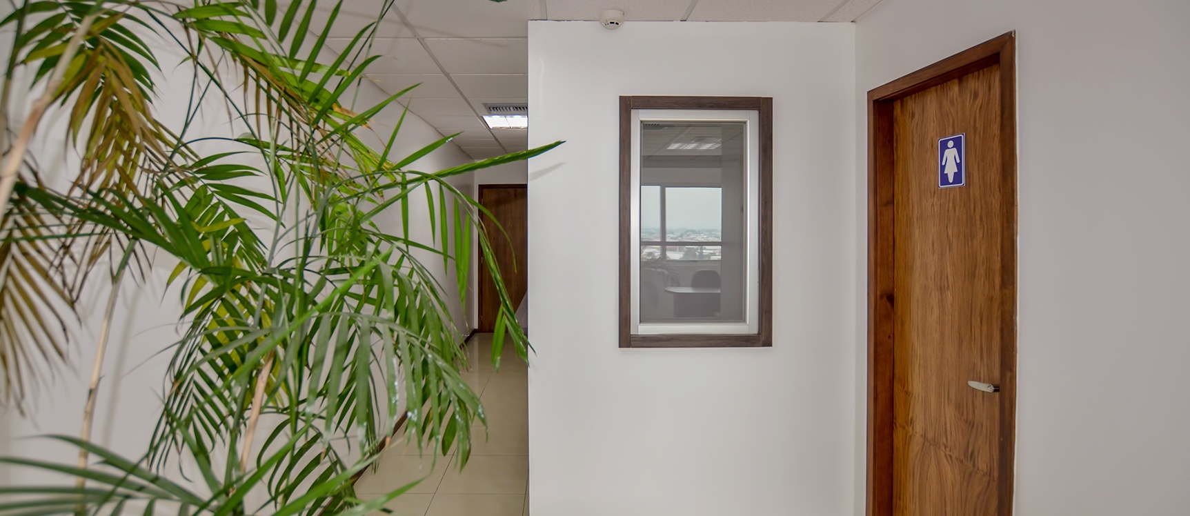 Oficina en alquiler en Trade Building sector norte de Guayaquil GeoBienes - Oficina en alquiler en Trade Building sector norte de Guayaquil - Plusvalia Guayaquil Casas de venta y alquiler Inmobiliaria Ecuador