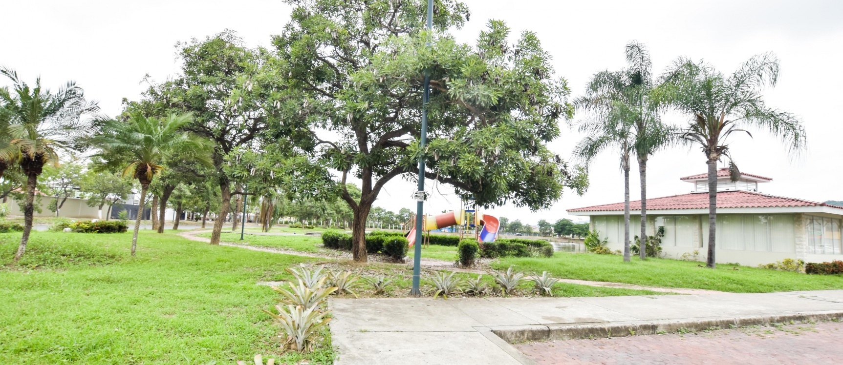 Oficina en alquiler ubicada en Metropolis II, Autopista Terminal Terrestre GeoBienes - Oficina en alquiler ubicada en Metropolis II, Autopista Terminal Terrestre - Plusvalia Guayaquil Casas de venta y alquiler Inmobiliaria Ecuador
