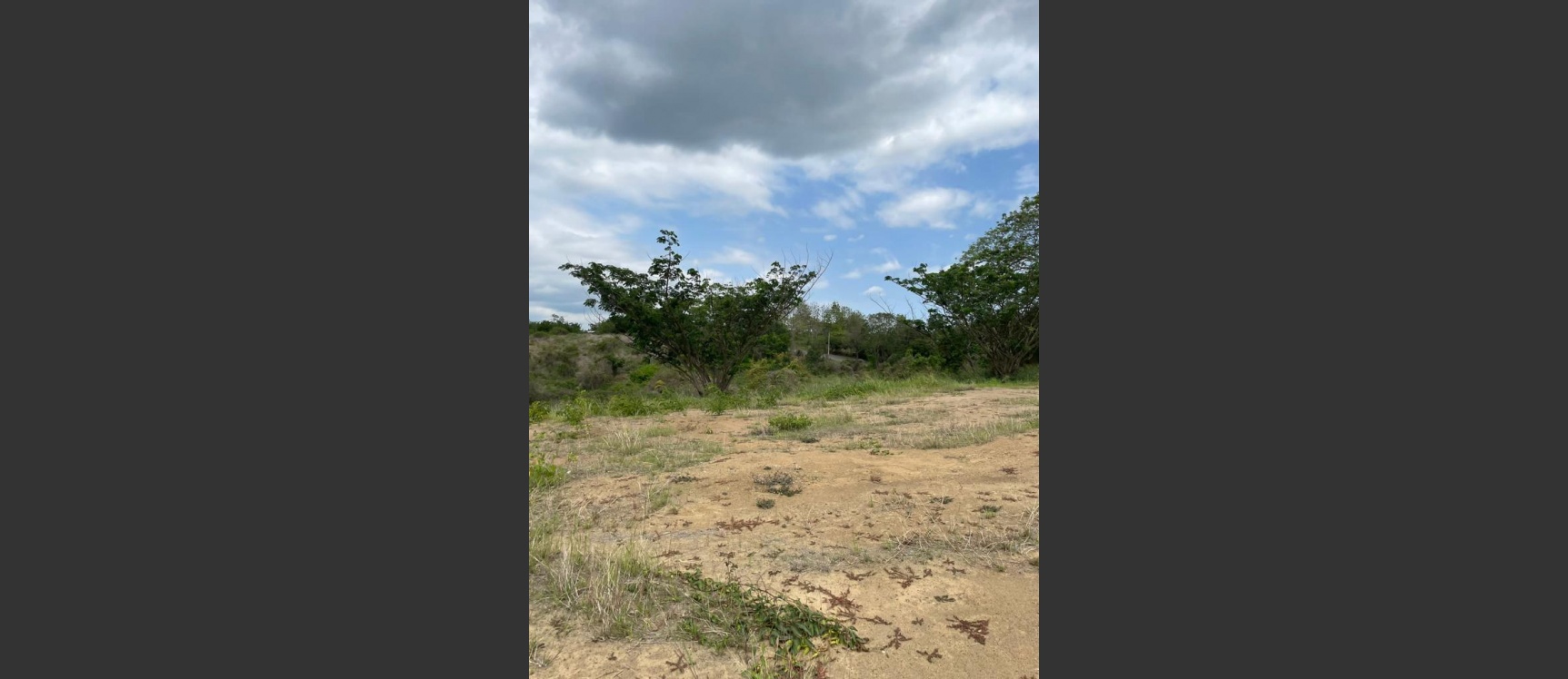 GeoBienes - Solar en venta ubicado en Lomas del Bosque, Vía a la Costa - Plusvalia Guayaquil Casas de venta y alquiler Inmobiliaria Ecuador