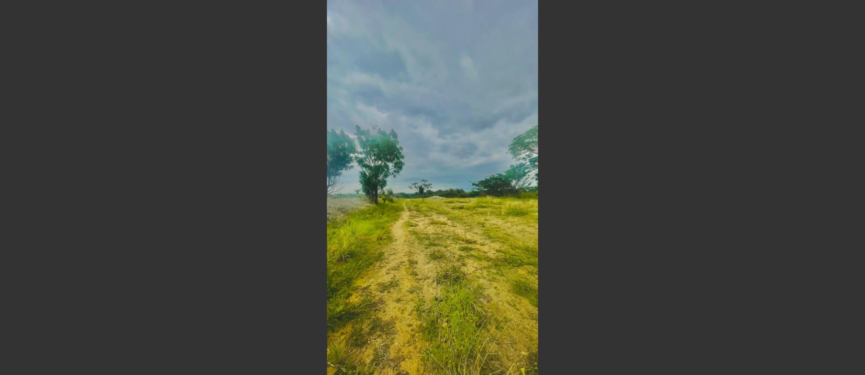 Solar en venta ubicado en Lomas del Bosque, Vía a la Costa GeoBienes - Solar en venta ubicado en Lomas del Bosque, Vía a la Costa - Plusvalia Guayaquil Casas de venta y alquiler Inmobiliaria Ecuador