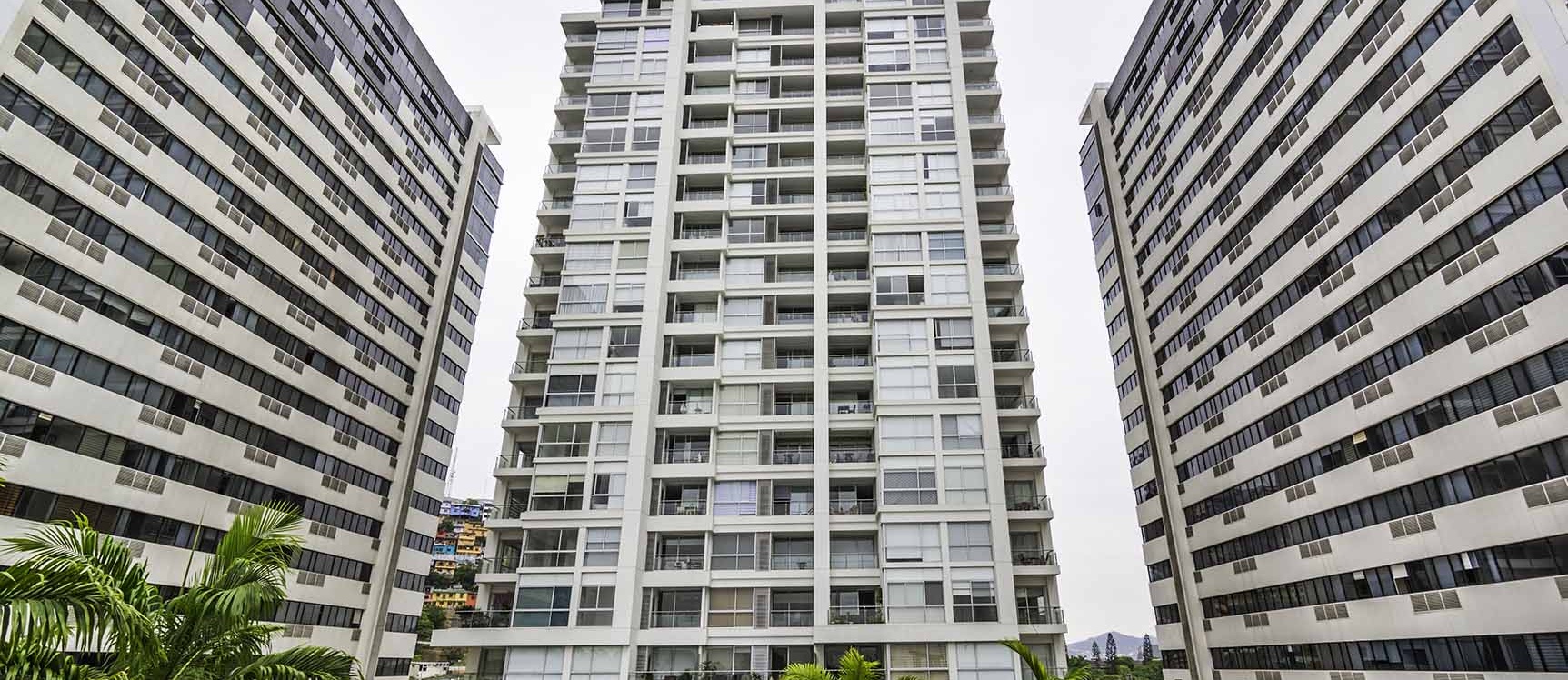 Suite en alquiler en Bellini I centro de Guayaquil GeoBienes - Suite en alquiler en Bellini I centro de Guayaquil - Plusvalia Guayaquil Casas de venta y alquiler Inmobiliaria Ecuador