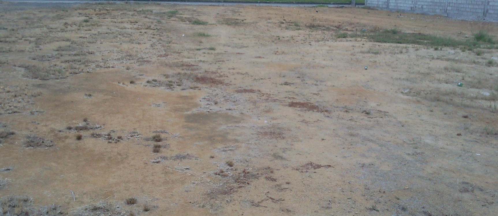 Terreno en Venta Condado Vicolici GeoBienes - Terreno en Venta Condado Vicolinci - Plusvalia Guayaquil Casas de venta y alquiler Inmobiliaria Ecuador
